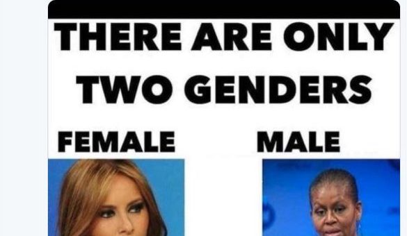 A graphic with the slogan "There are only two genders", with 'female' attached to a white woman and 'male' to a Black woman who is very recognisably female.