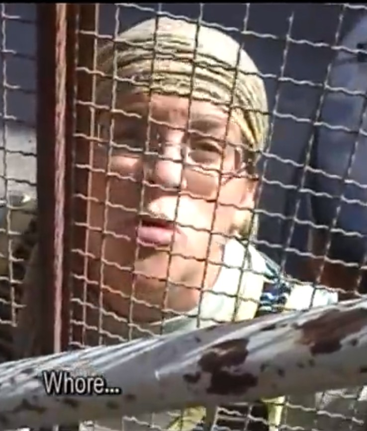 Picture of a white woman wearing a green headwrap putting her face up to the window of a home, which has been reinforced with a metal wire fence, repeating the word "sharmoota" (whore) to the female Palestinian occupant.