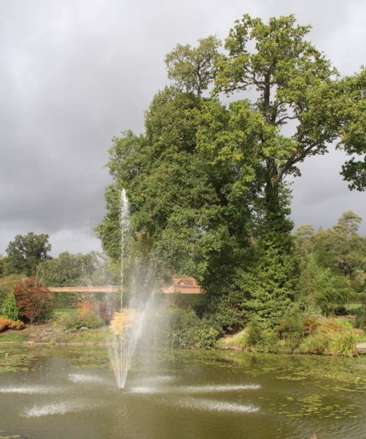 A small fountain in the middle of an ornamental lake, with trees behind, some showing autumn colours.